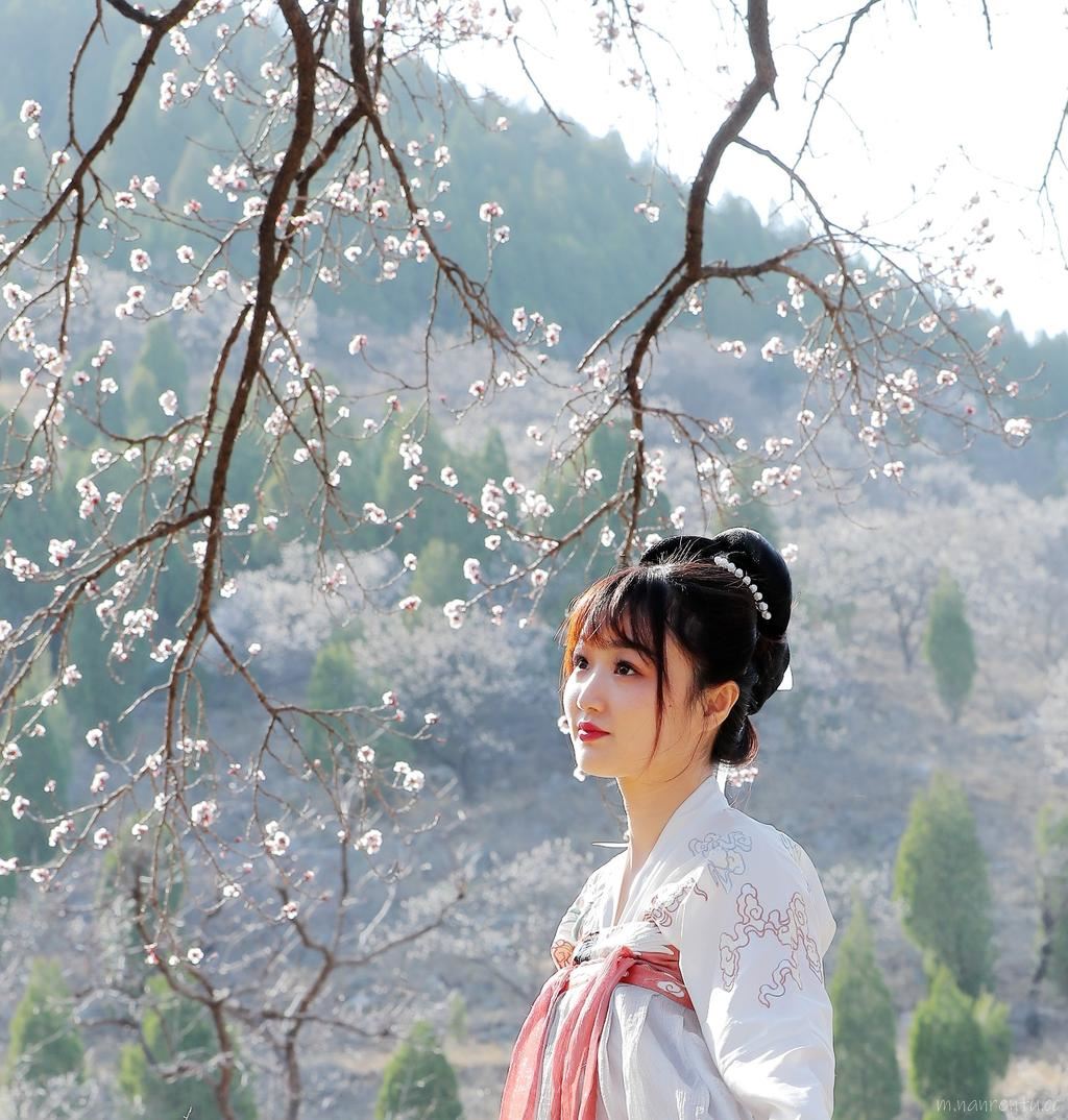 古风精选樱花树下的汉服美女唯美写真图片第3张